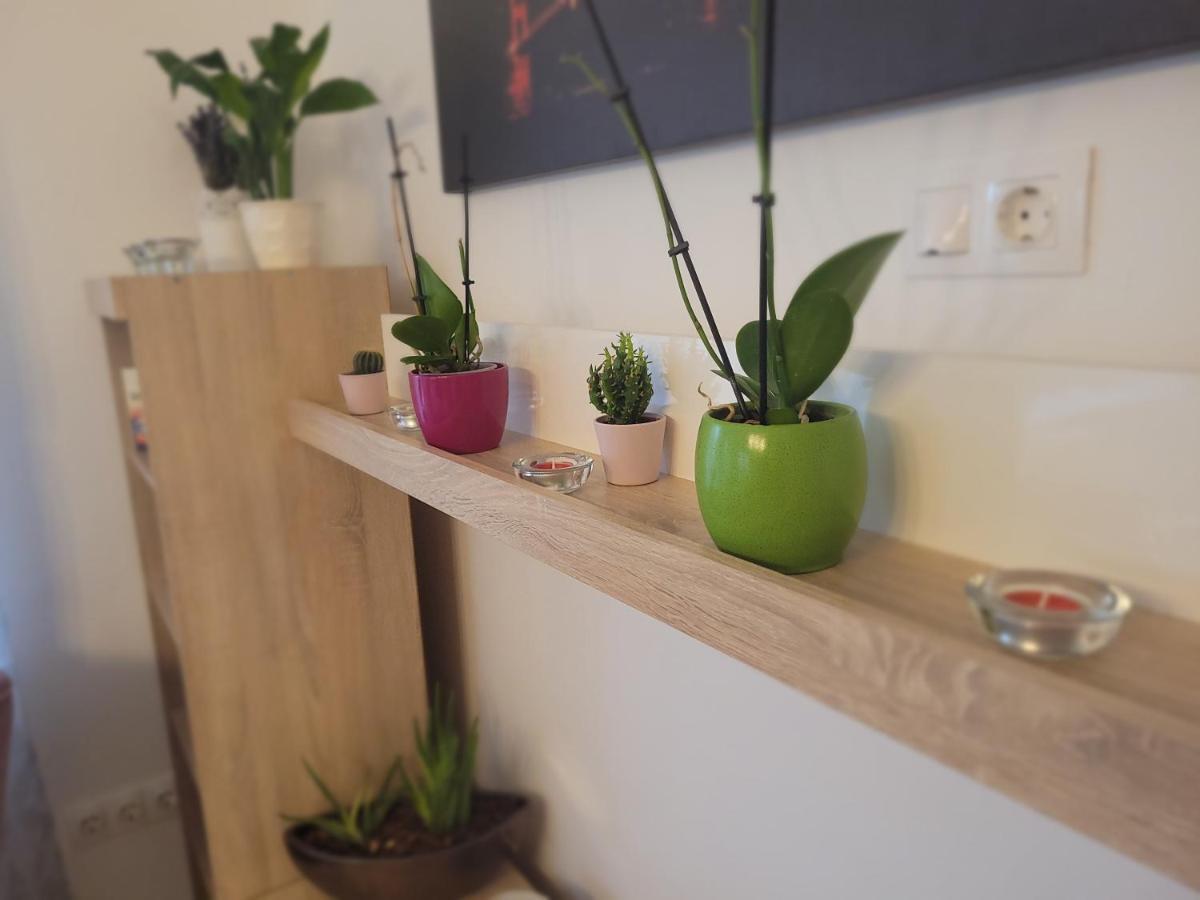 Rose Apartment Печ Екстериор снимка